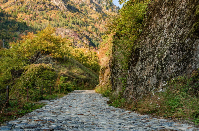KR7_7040.jpg