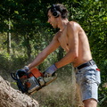 Lumberjack