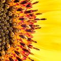 2019-09-08-17.50.57 ZS DMap