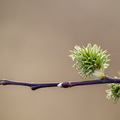 _K755367.jpg