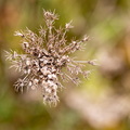 20231109-K75_5654.jpg