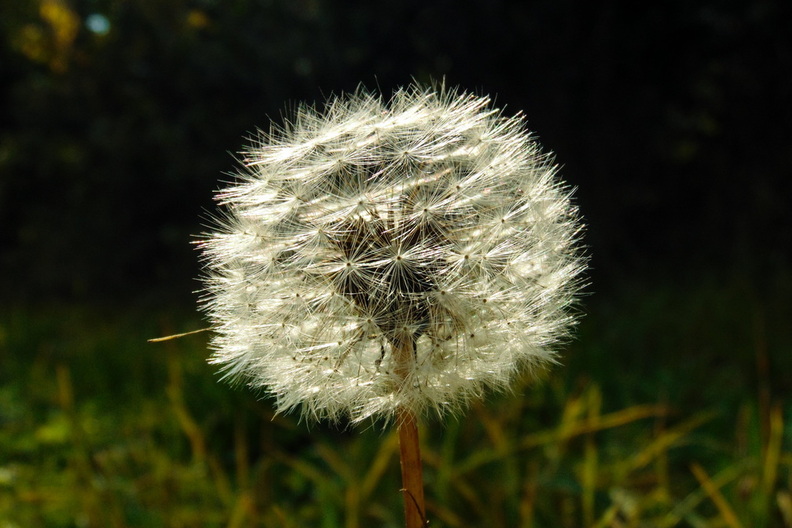 20160927-DSC08476.jpg