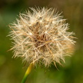 20230908-K75 4146
